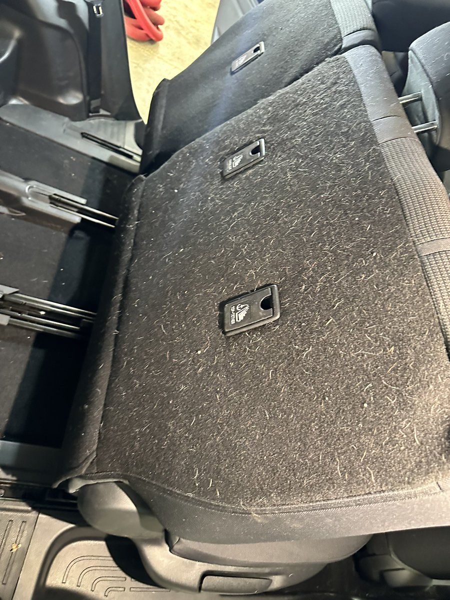 DDaidays's tweet photo. For those who into detailing here is some of my work old to me new yo twitter. I never used twitter just want to show off my detailing skills https://t.co/Lqk9tG8Mpr
