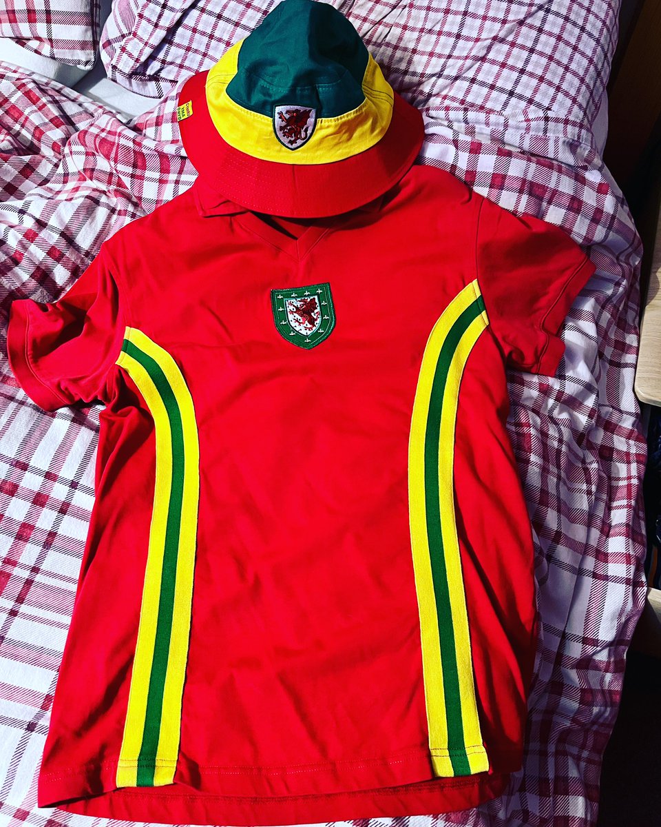 See you later ♥️🏴󠁧󠁢󠁷󠁬󠁳󠁿 #Cymru #YmaOHyd