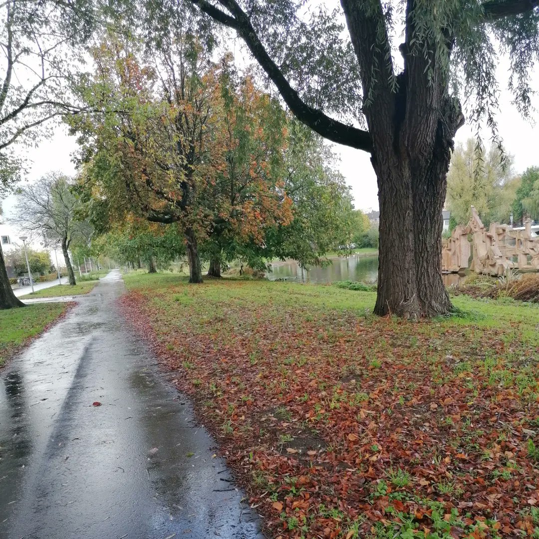 ccatenacci's tweet photo. Autumn vibes in Amsterdam https://t.co/0aiA4Jnq5D