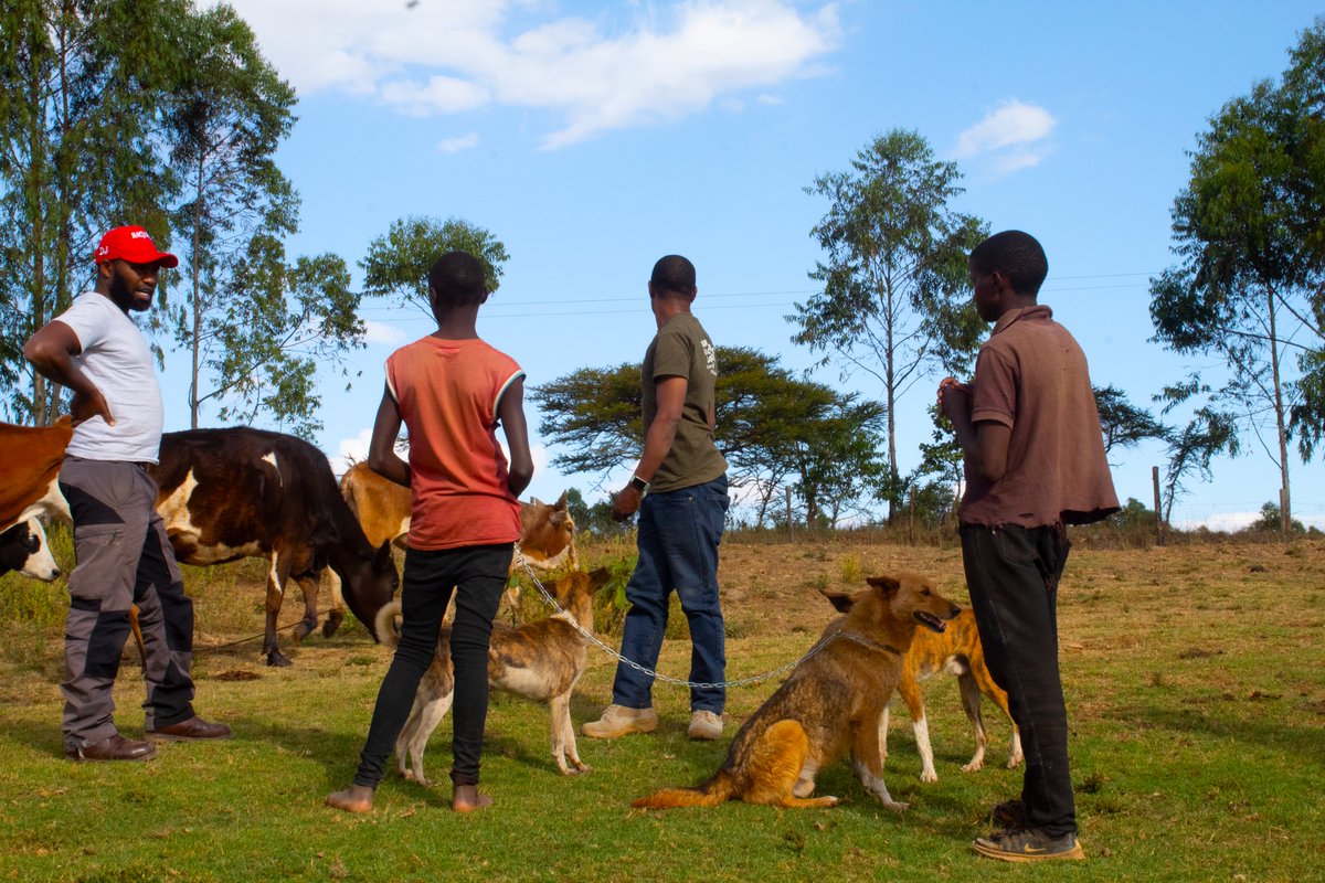 MpalaWildDogs's tweet photo. Part of the #LRVC2022 goal involves interaction with the community. We take this chance to create #awareness on rabies and dog bites prevention. #rabies #Endrabiesnow #Zeroby30
@LaikipiaCountyG @mpala_rc @KaratinaUniv @RabiesAlliance @MissionRabies https://t.co/Id8al0H4F9