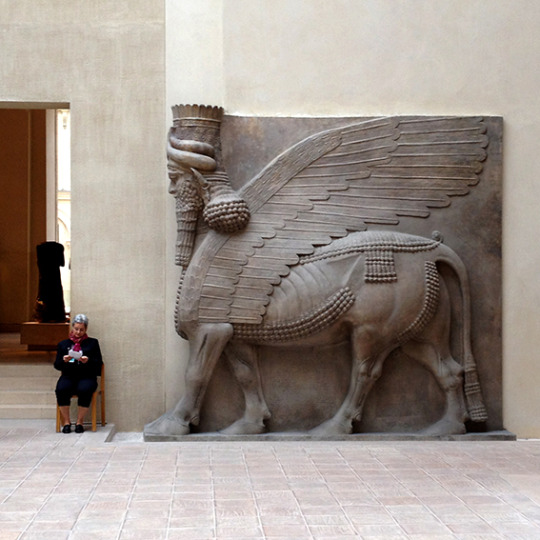 DivulgoConAnsia's tweet photo. Lamassu dal palazzo di Sargon II. Toro androcefalo alato. Provenienza cittadella Palazzo di Dur-Sharrukin (attuale Khorsobad, Iraq). 717-706 a.C.
Museo del Louvre a Parigi.
#Archeologia #CiviltàAntiche #Storia #Divulgare #Assiri https://t.co/TJzPKT0Mkw
