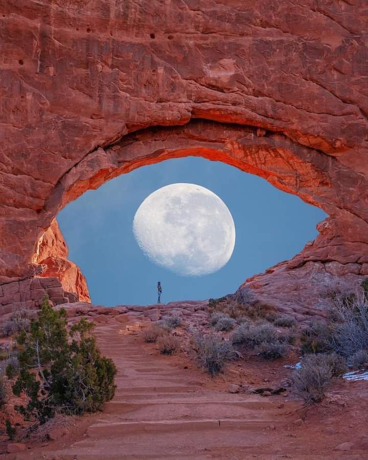 MarcCPearson's tweet photo. Eye see you https://t.co/ZkcYrONJXu