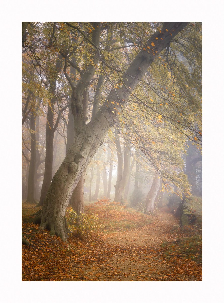 A few from last week. Hoping this fog sticks around today so I can get out later.