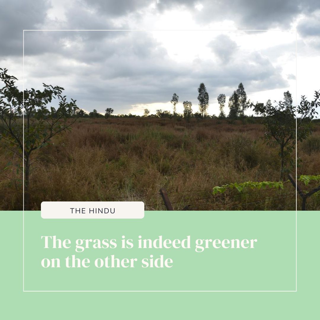 Hesaraghatta, a large reservoir along the river Arkavathy, used to be an important source of water for Bengaluru. In the last couple of months, Hesaraghatta has made a comeback into public memory and discourse.