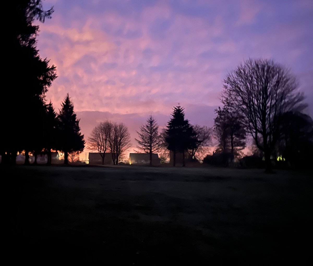 JKApollos's tweet image. Definite chill in the air this morning.