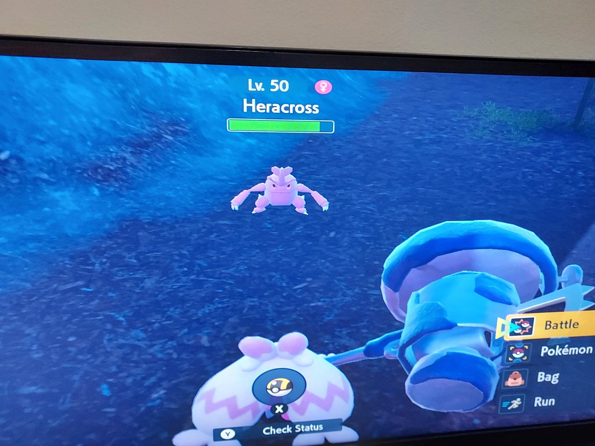 HuntinguyYT's tweet photo. First shiny of the new gen! https://t.co/yYZGMXUNwW