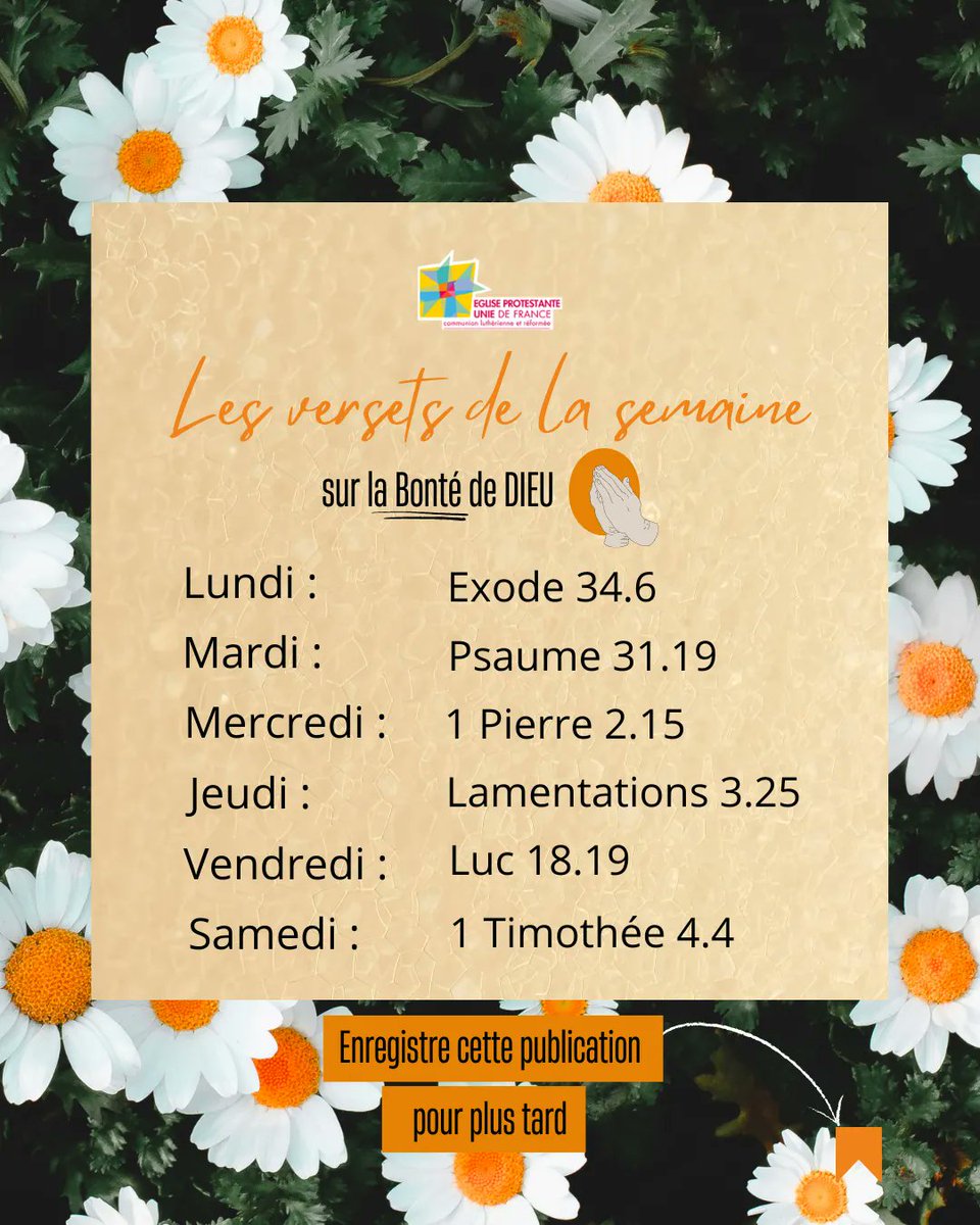 EPUdF's tweet photo. Sentez et voyez combien l'Eternel est bon! Heureux l'homme qui cherche en lui son refuge! Psaume 34:8 💖
Le thème central de cette semaine - la bonté de Dieu 🙌🏼. https://t.co/cq6YNQXJRQ