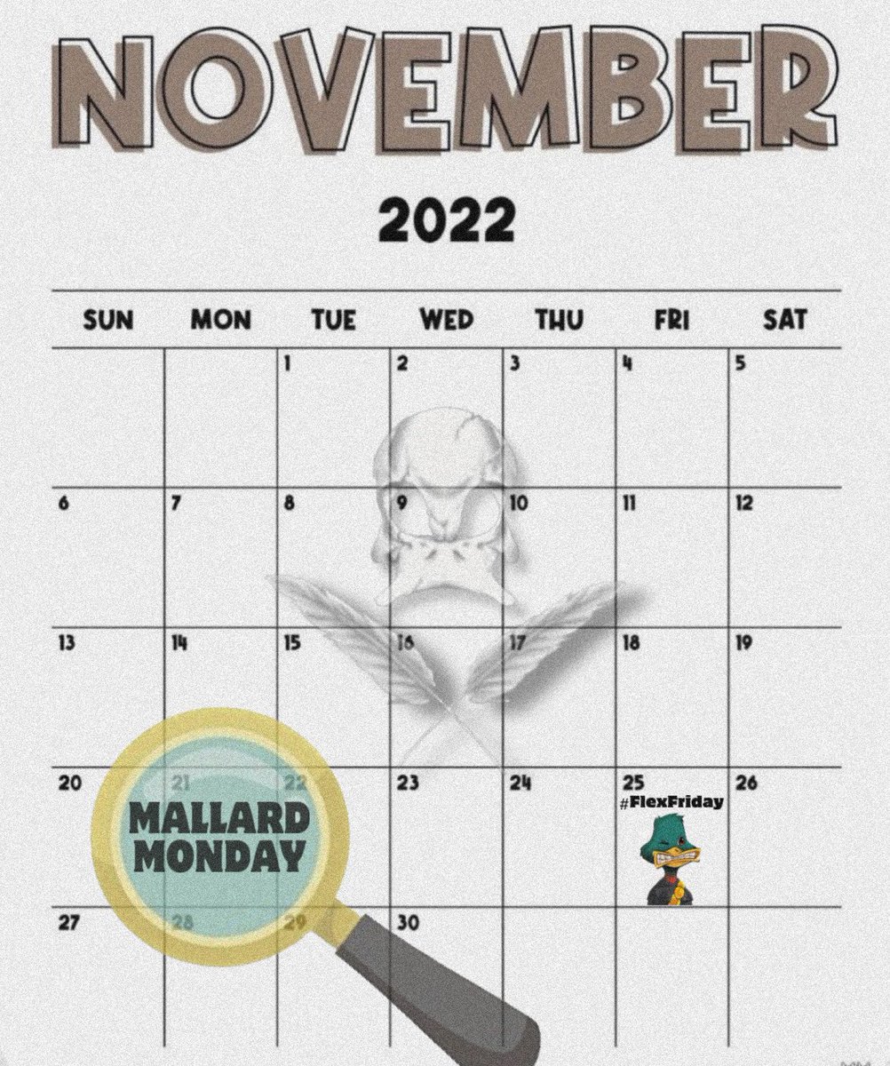 TheCryptoAL's tweet photo. BREAKING NEWS!🚨 @MallardOrder 

It’s #MallardMonday everyone! Go flex your Mallards &amp; spread positivity ONLY fam!🦆

Today is all about alacrity, connection &amp; support!🫱🏾‍🫲🏽

HAPPY #MallardMonday to everyone in the #Web3 space!❤️ #MallardOrder #TMO #CNFT #MallardMadness https://t.co/spjsZ6xgYF
