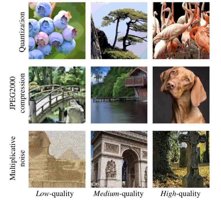 twuilliam's tweet photo. Interested in image quality assessment? Or how to derive differentiable correlation coefficients?

Join us today at #BMVC2022 to know more!

Paper: https://t.co/ql8l2WAxu4

Joint work with Jose Costa Pereira, @s_parisot, Ales Leonardis and @steve_mcdonagh https://t.co/W9kEWReHXd