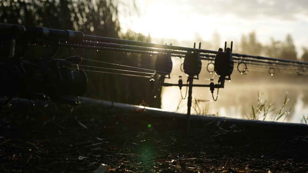 CarpCafe tweet media