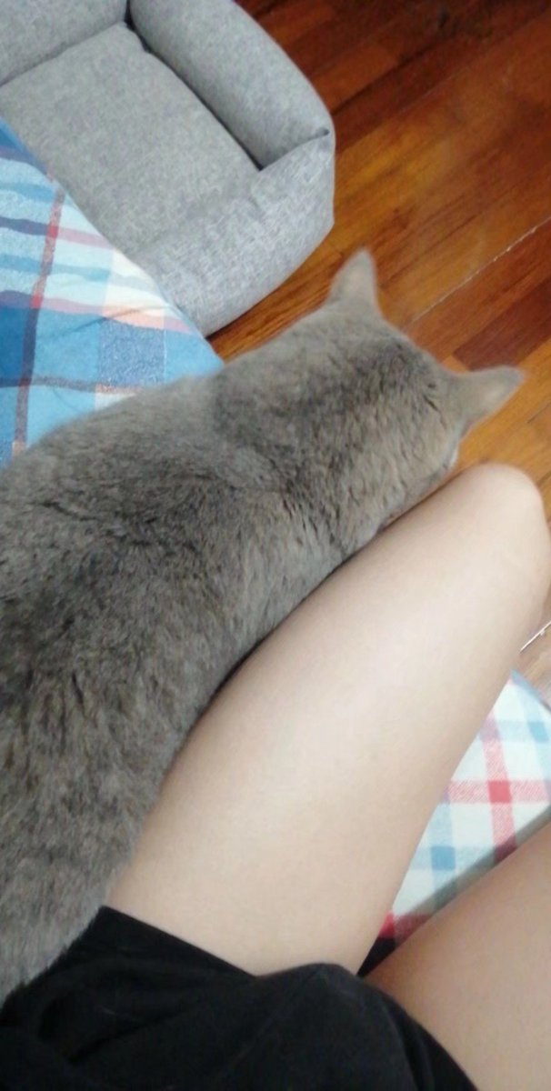 要对猫猫好
#男娘 #伪娘 #猫猫