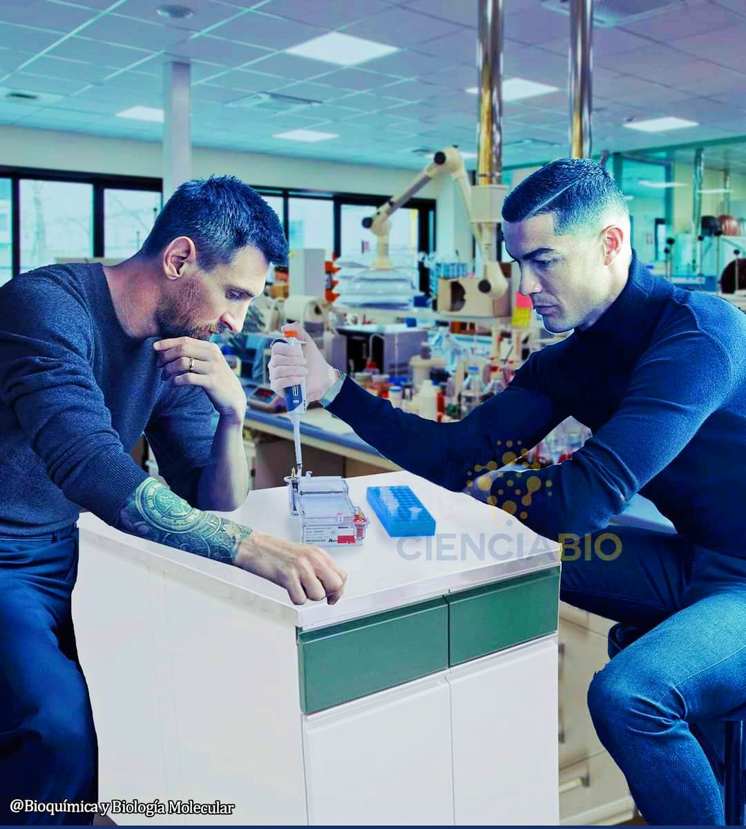 IQS Football & Education tweet media