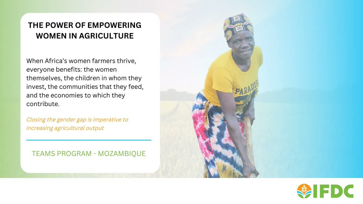 As more women continue to participate in agricultural production and use #ClimateSmart practices, the future becomes more promising for this once-marginalized group.

Read the article about women playing a successful role in #Mozambique’s #agriculture: ifdc.org/2022/03/03/wom…