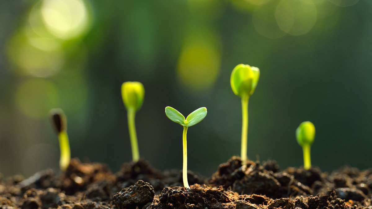 Ahead of #AgriFish Council today we have a message for ministers. ✉️

We need a #coherent approach in implementing policies and initiatives. Only then we will have a strong #EU bioeconomy that places #people and #nature at its core. 🐘 👩 👨 🌍