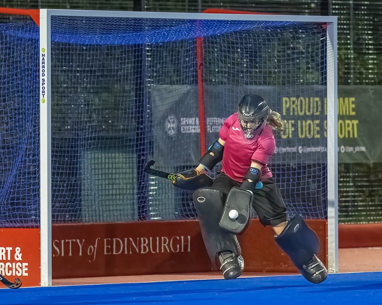 David P McCarthy tweet media