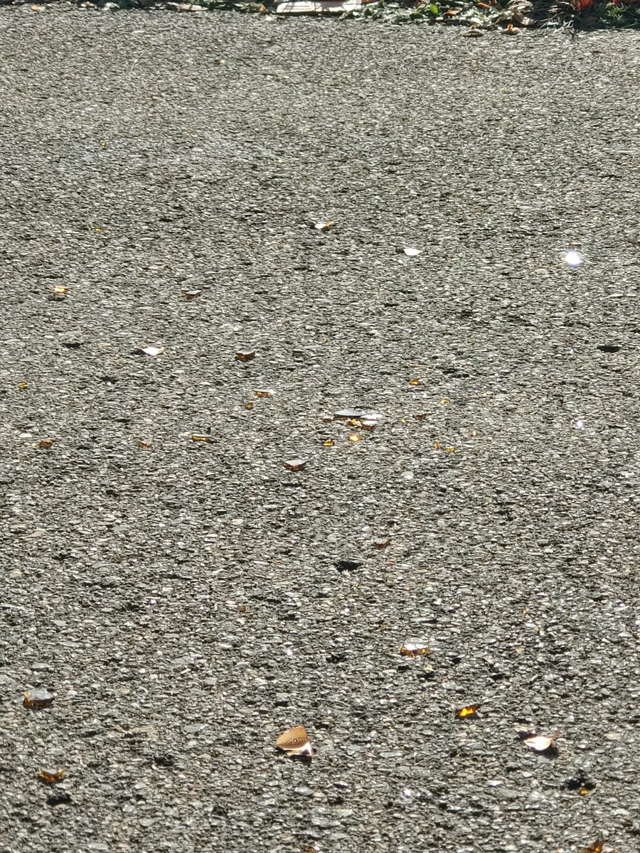alezjandroGR's tweet photo. @aytosanandres buenos días. Hace un par de semanas alguien rompió unas botellas de cristal (litronas de cerveza) en el parque del carbosillo. Los cristales siguen en el suelo y cada vez más dispersos y peligrosos para los niños. Sería posible que los limpiaran? Gracias https://t.co/JeclKUxspR