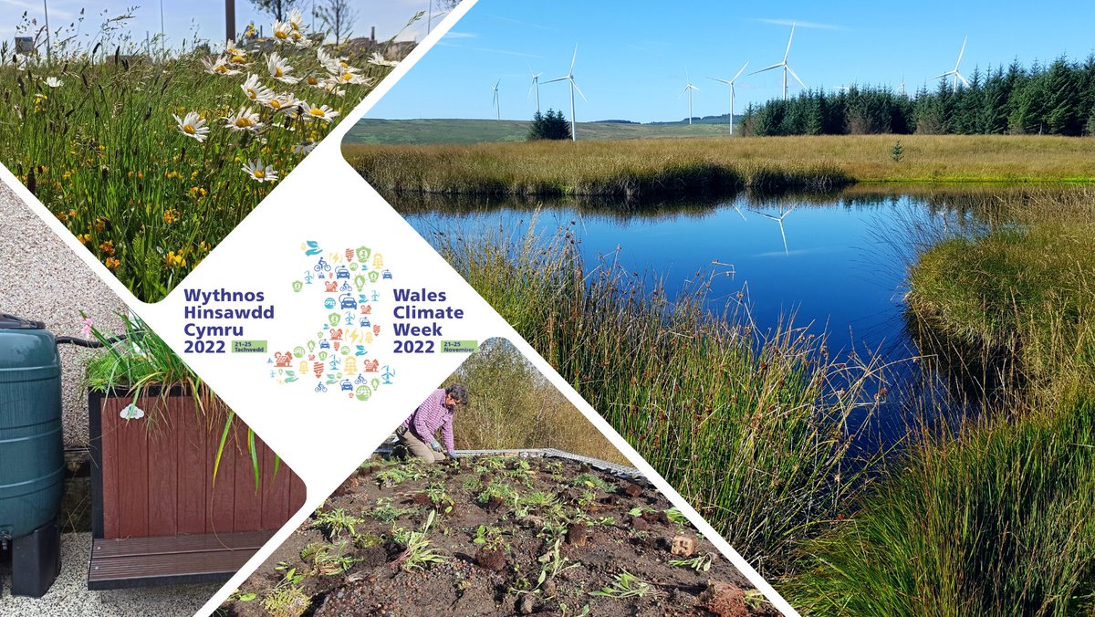 NptWildlife's tweet photo. #WalesClimateWeek2022 – let’s talk climate change 21-25 November  
@NPTCouncil @NptWildlife projects are addressing the climate and nature emergencies as one:  
🏵@LostPeatlands Project is restoring peatlands in an area that is estimated to store up to 350,000 tonnes of carbon!. https://t.co/4Q98QKjCmQ