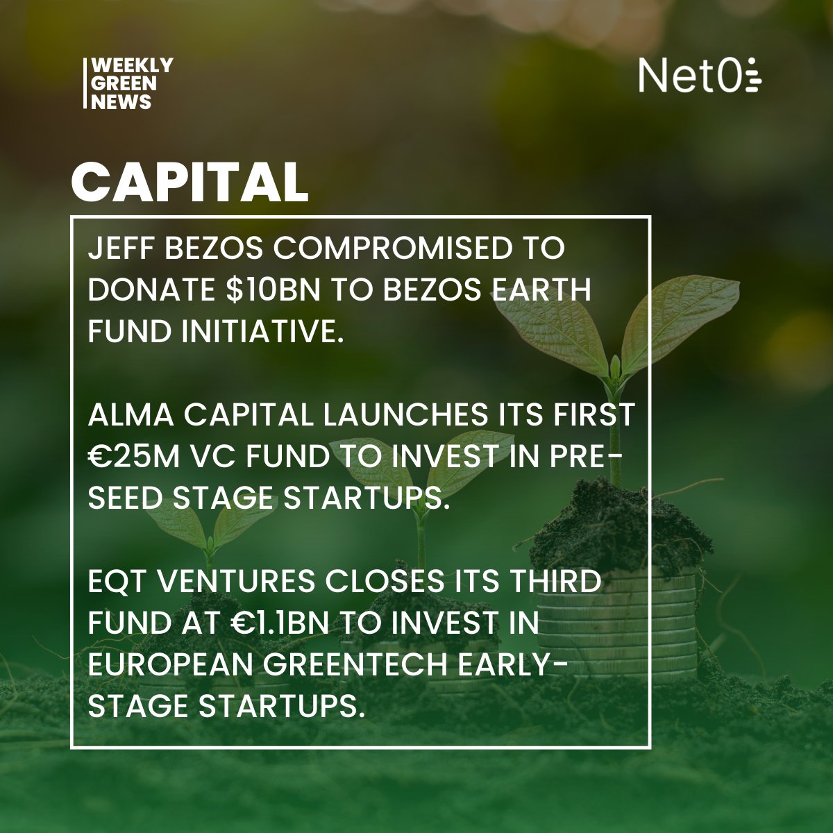 Net Zero Insights tweet media