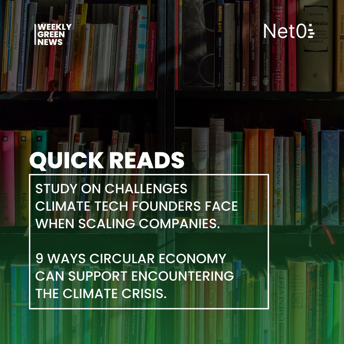 Net Zero Insights tweet media