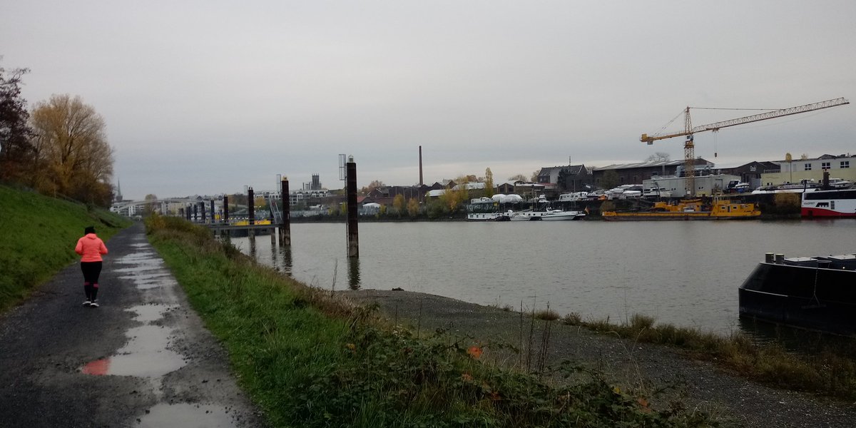 rheinparkrun's tweet photo. At our #parkrun last Saturday, 8 runners braved the weather, including tourists from @stewartparkrun, @teesbparkrun and @Bstokeparkrun.
Legendary victory by Luke Pettit despite doing the (muddy) extra mile! https://t.co/RPOwo5ZtBY