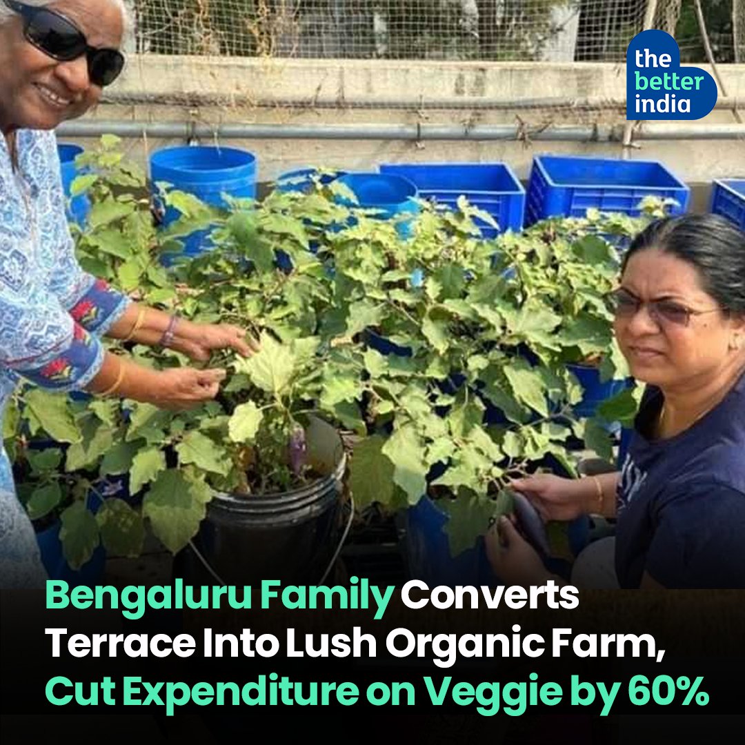 The Better India on Twitter "“Having a garden with chemicalfree