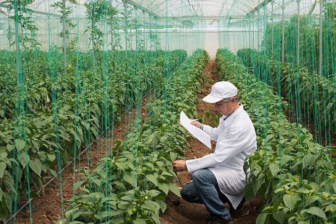 Hayvansal üretim bitkisel üretimden çok daha fazla risk ve maliyet taşır. Verilen toplam desteğin %28 i doğrudan %6 nı değişken alan üreticilerin sistemden çekilme ve küsme oranı bitkisel üretime göre iki kat daha fazladır.