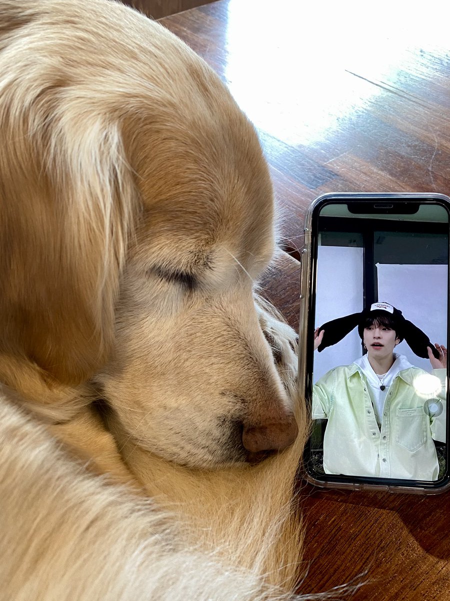 dbWmdnl's tweet photo. 우리 강쥐 너무 보고싶다 https://t.co/5LyKy4B81X