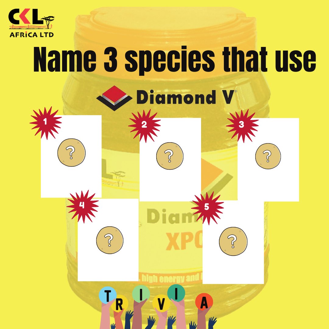 CKLAfricaltd's tweet photo. Let's have some fun this Monday to chase away the blues. How well do you know Daimond V? #DiamondV https://t.co/nKCe9bEw6B