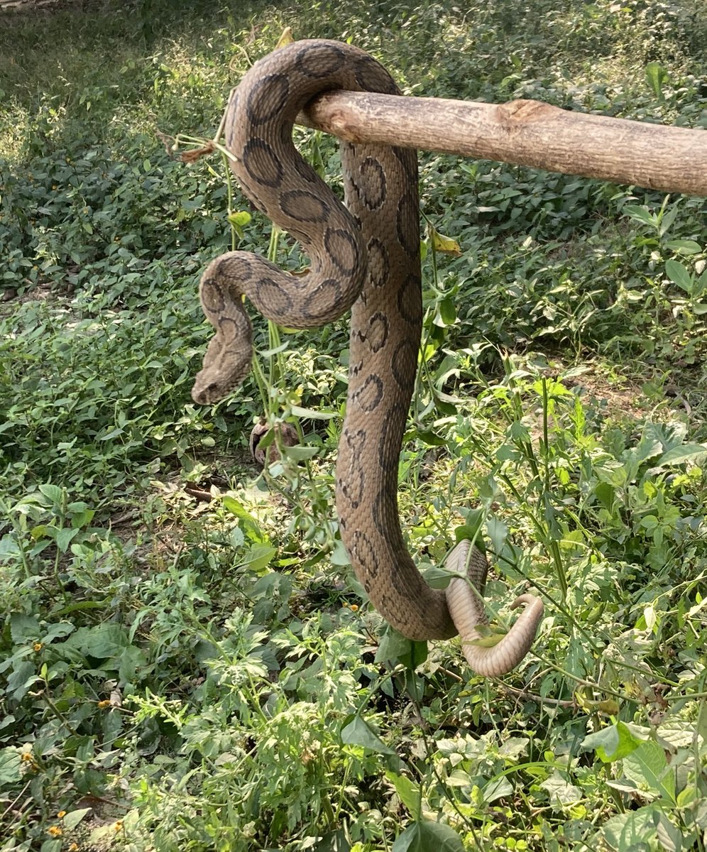 Trying to find peace in nature