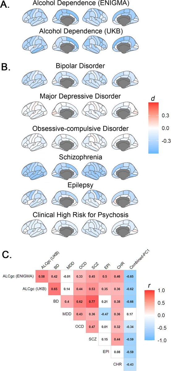 molecularpsychiatry (@molpsychiatry) on Twitter photo Cortical profiles of numerous psychiatric disorders and normal development share a common pattern. By Zhipeng Cao et al. <a href="/UVMMedCenter/">UVM Medical Center</a> <a href="/AmsNeuroscience/">Amsterdam Neuroscience | Amsterdam UMC</a> #psychopathology #corticalthickness #neurodevelopment #psychiatry rdcu.be/cZ4nS Cortical profiles of numerous psychiatric disorders and normal development share a common pattern. By Zhipeng Cao et al. <a href="/UVMMedCenter/">UVM Medical Center</a> <a href="/AmsNeuroscience/">Amsterdam Neuroscience | Amsterdam UMC</a> #psychopathology #corticalthickness #neurodevelopment #psychiatry rdcu.be/cZ4nS