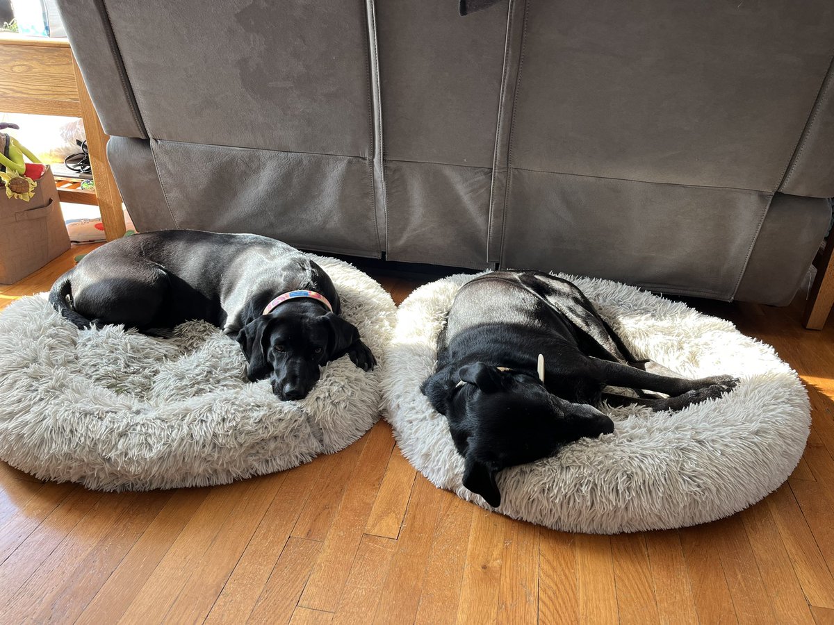 Jen Silacci tweet media