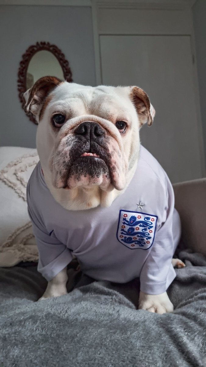 SammiBews's tweet photo. Let me know if you need to borrow the boy @England  @FIFAWorldCup
3-0 COME ON BOYS 🥳🥳 

#FIFAWorldCup #England #ItsComingHome #BigReg https://t.co/OvD6DFVsEf