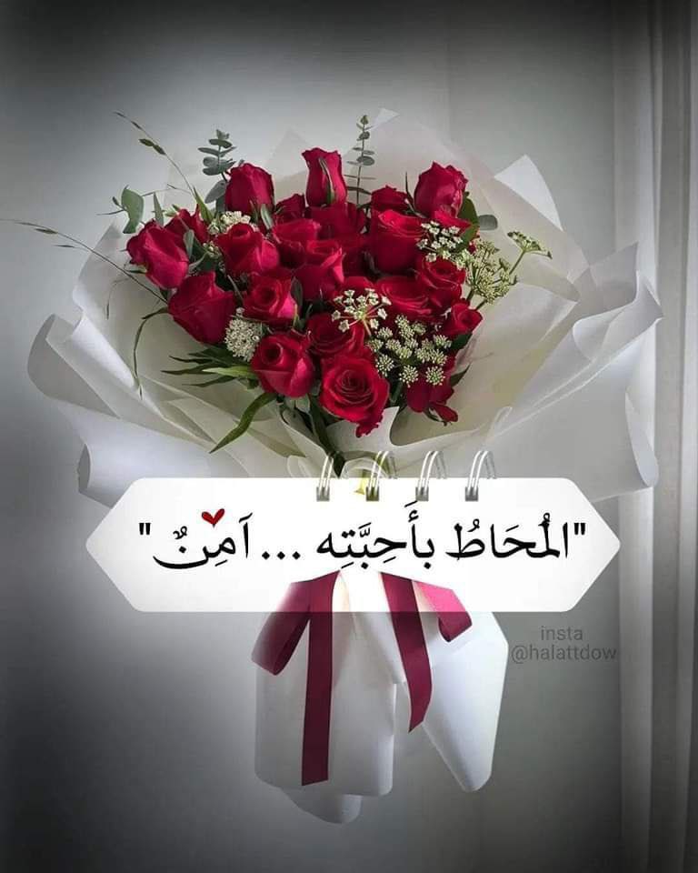 khmohamed17's tweet photo. https://t.co/lH0szzwBcZ