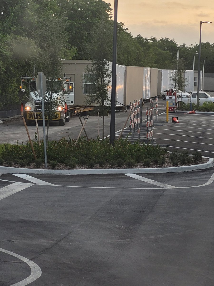 Shelley Roy tweet media