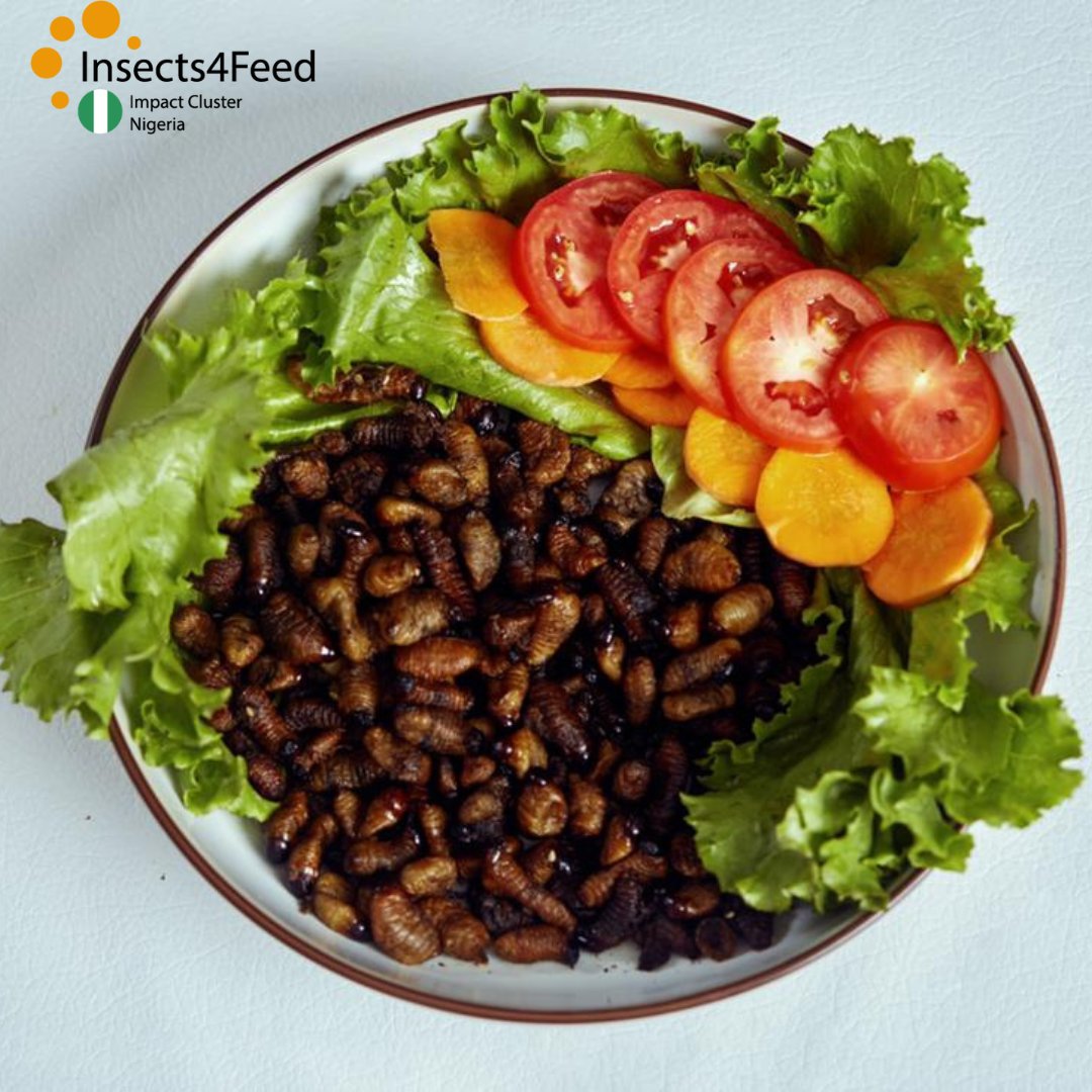 Insects4Feed is a mechanism used as a basis to stimulate #partnerships between local &amp; #international #stakeholders playing in the #insect sector.
Currently, we are operating in Ibadan, #Nigeria starting with the Black Soldier Fly value chain.

Learn more: insects4feed.org