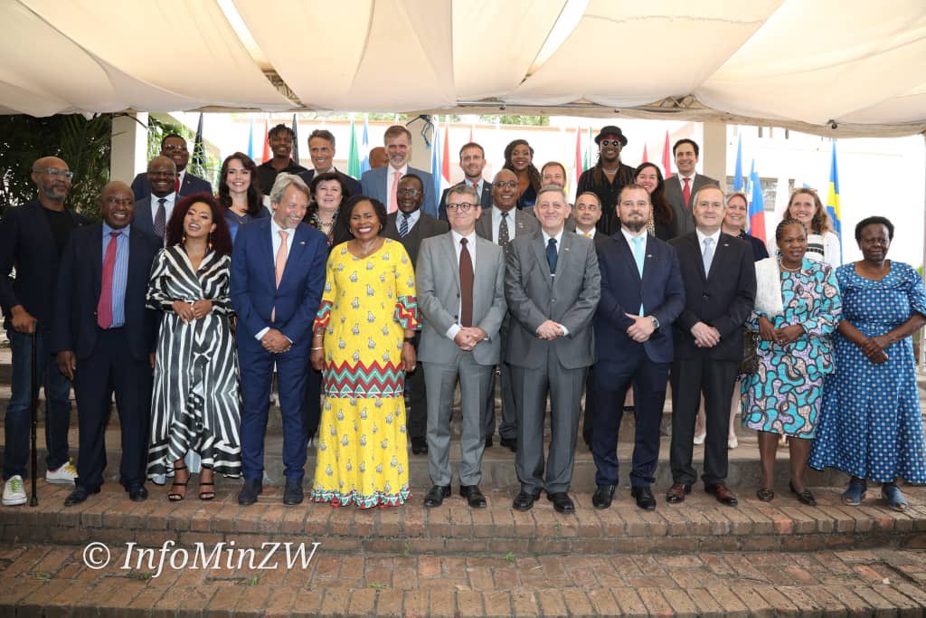 Nick Mangwana on Twitter "Remarks by EU Ambassador This is most