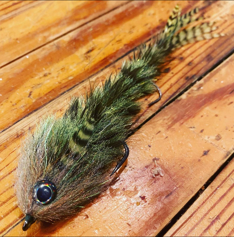 Saltwateronfly's tweet photo. Very nice.
@seth_c_clark85
Tuesday night tie - Shoal Bass feather game changer #gamechangerfly #flyfishing #bassonthefly #shoalbass #shoalbassonthefly #flyfishingjunkie #flyfishingaddict https://t.co/T0SYKHXp0g