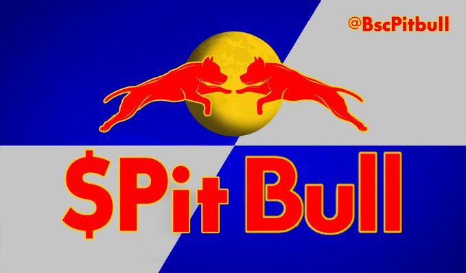 kim63202572's tweet photo. @Eljaboom #pitbull #pitbulltoken @BscPitbull 
#PitBullish #Pitbullcoin 
I love pitbull❤ https://t.co/7EfoBtECYd