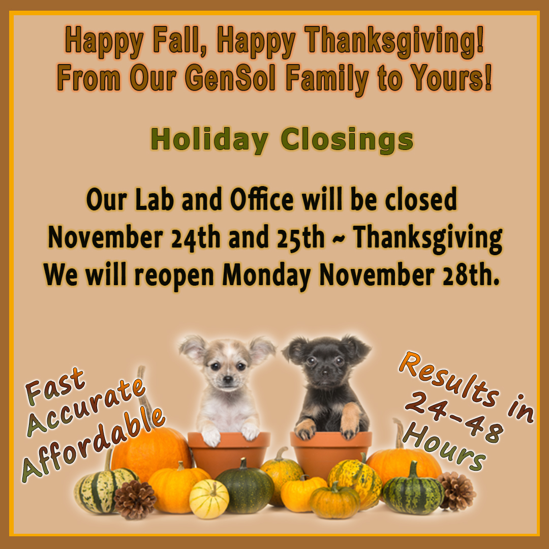 GenSolDiagnost1's tweet photo. 🐶 GenSol Wishes All Our Customers a Safe Holiday with Family and Friends ❤️

#ShadeOutDM #CanineHealth #vettech #petsarefamily #doglife #veterinarymedicine #dogbreeder #Thanksgiving #holiday https://t.co/xzCr1RgphW
