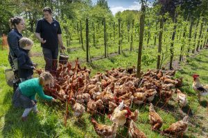hbvlinderstrik's tweet photo. #HerenBoeren @hbvlinderstrik #VacatureTip M / V
Kijk voor meerdere vacatures bij @Herenboeren - boerderijen en op het #kantoor in Driebergen via:
https://t.co/SLBUJctdAF https://t.co/VZ0LYxCD23