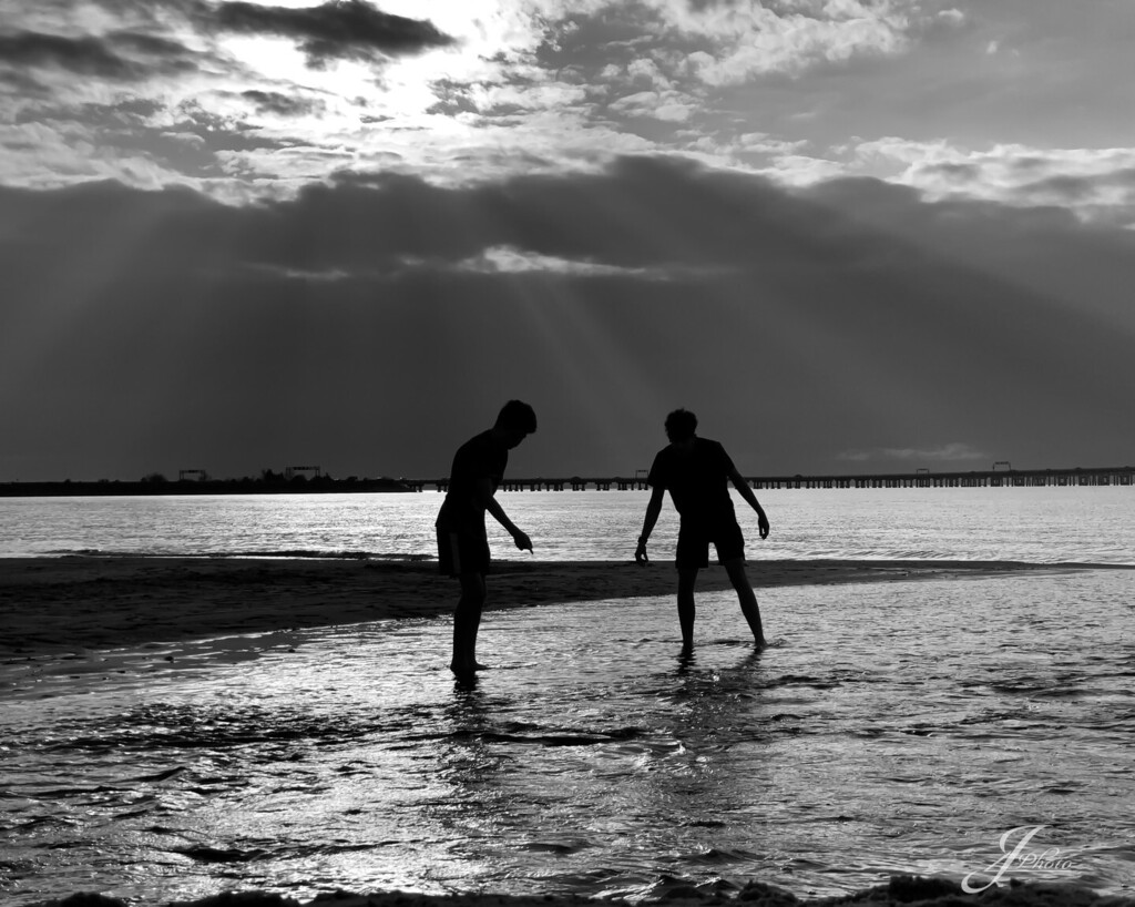 WilyGuy's tweet photo. "The Hunt"
Boys hunting for sea life in the waning hours of the day on a warm November day. https://t.co/hey8NagOXm https://t.co/KANUSn7JKC