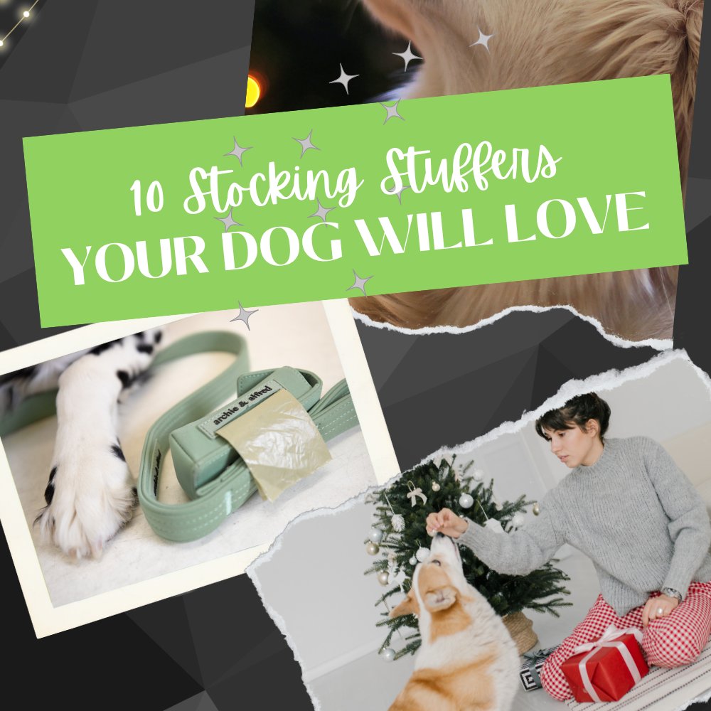 10 Stocking Stuffers Your Dog Will Love 👇 forevermylittlemoon.com/2022/11/10-sto… * #dogs #christmas @PompeyBloggers @sincerelyessie @TeacupClub_ #TeacupClub @ThePinkPAGES_ @wakeup_blog @BloggersVP #BloggersViewpoint