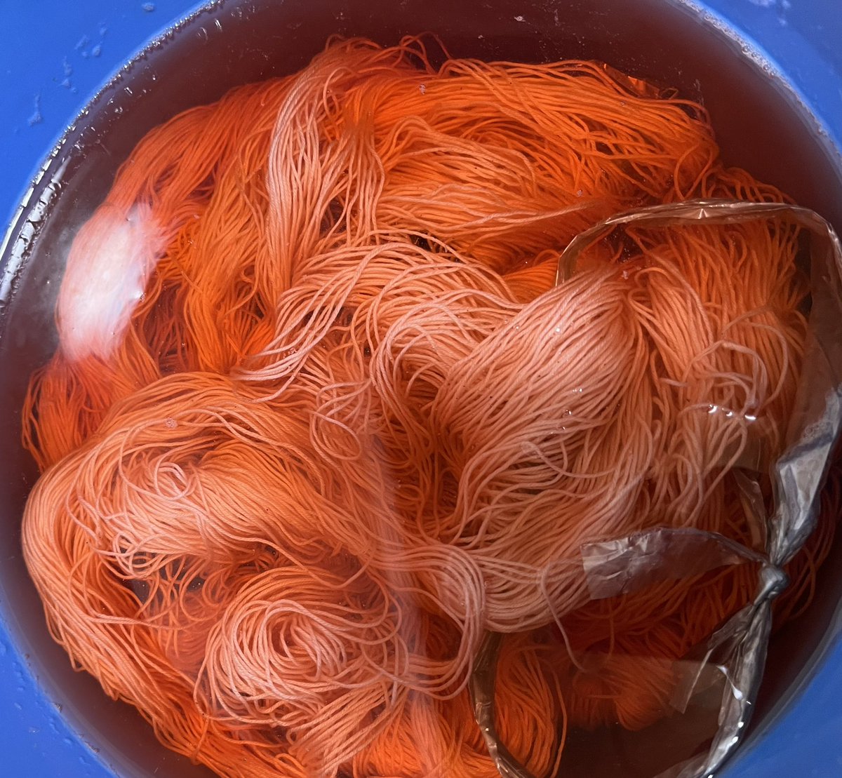 はるこ (@haruko_w) / Posts / X