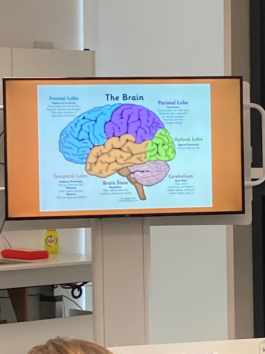 primaryedUON's tweet photo. Today the Year 3s in ‘ITT3061 Expertise teaching’ were joined by a colleague and STEM Buddies from the UON’s Psychology Department for a workshop on Metacognition and how the brain works. 
There was a lot of useful information and ideas shared! https://t.co/PeMkm0hwaL