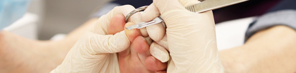 École d'Assas tweet media