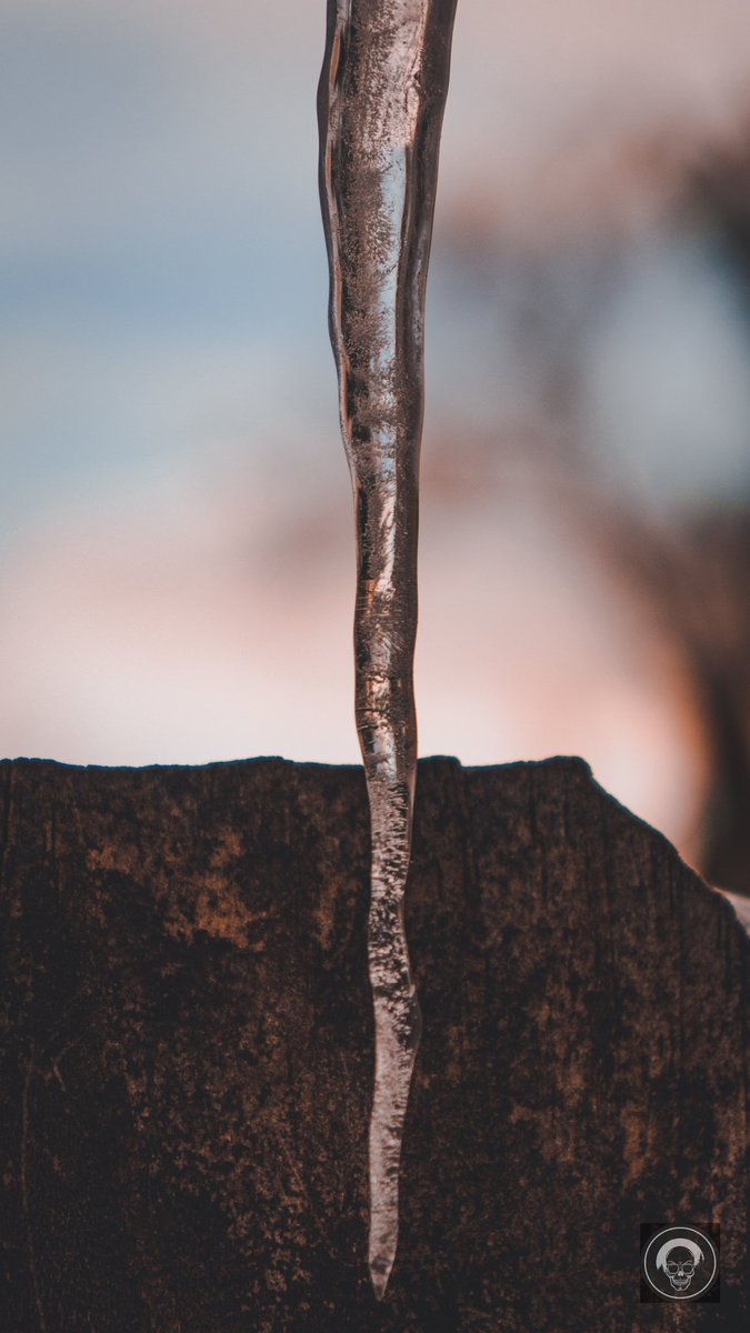 originalcoolone's tweet photo. Icicle
#Outdoors #Drop #CloseUp #Plant #Freezing #Wet #Drop #Ice #CloseUpOne #MacroPhotographyature #MacroPhotography #leaf_art #SelectiveFocus #dowagiacmichigan #drop_of_taste #water_addict #cold_as_F #fun2go #tearart #teardrop @petermckinnon https://t.co/UnMjHG4Oxo