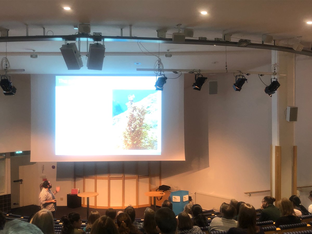 svsystematik's tweet photo. The last presentation for the afternoon session 🌇:

🔛 Daniel Álvarez-Canali: Assessing the #molecular diversity 🧬 of Sargassum (#Phaeophyceae) in the Northeast Atlantic Ocean 🌊

📍1st day of the Swedish Systematics Society's annual meeting #SystD2022 https://t.co/O9evI5L8qZ