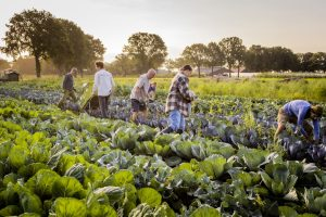 hbvlinderstrik's tweet photo. #HerenBoeren @hbvlinderstrik #VacatureTip M / V
Kijk voor meerdere vacatures bij @Herenboeren - boerderijen en op het #kantoor in Driebergen via:
https://t.co/SLBUJctdAF https://t.co/VZ0LYxCD23