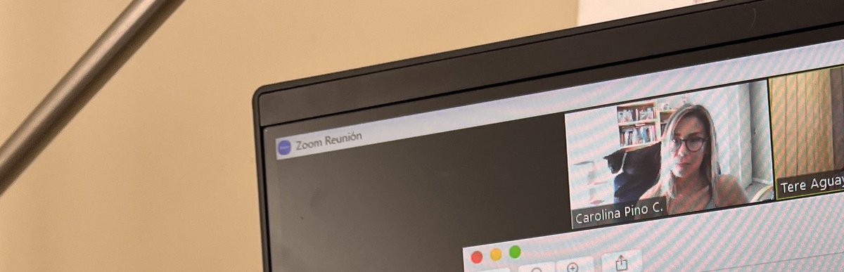 Caro 🌲 C. tweet media