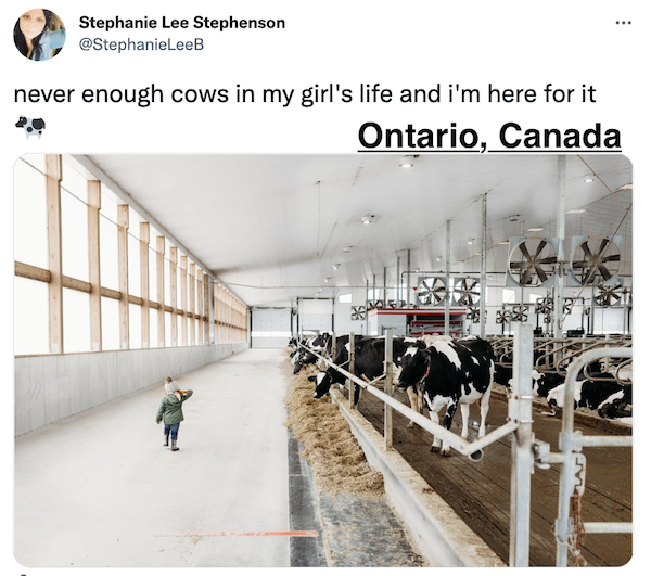 FarmTank's tweet photo. FarmTank Tweet of the Day!
Congrats to @angrycowboy1 @StephanieLeeB @TheCurtisFortin and @MasonMayer26 for being featured in @KevinVanTrump report!
#FarmTank #VTR #Corn #Agriculture #Soybean #AgTwitter #wheat #harvest22 #harvest2022 https://t.co/hmRMWUz2TJ